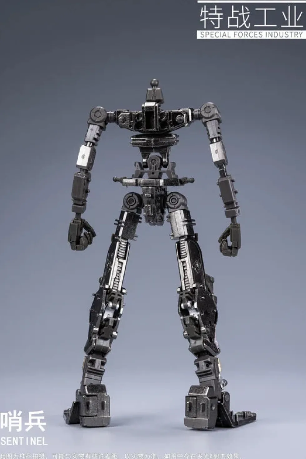 1/100 Sentinel