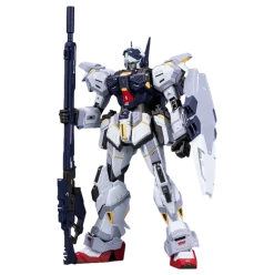 1/100 Sentinel