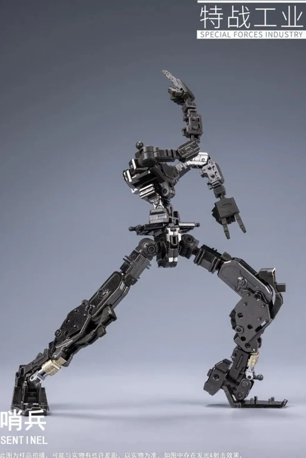 1/100 Sentinel