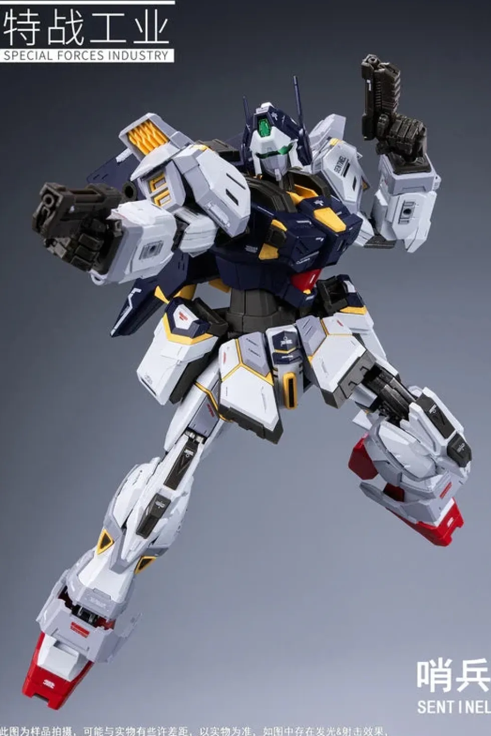 1/100 Sentinel