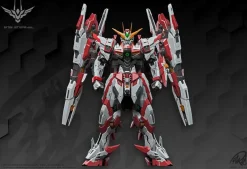 1/100 Star Eternal Xingheng