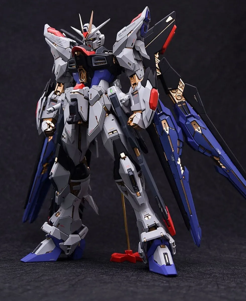 Strike Freedom GK