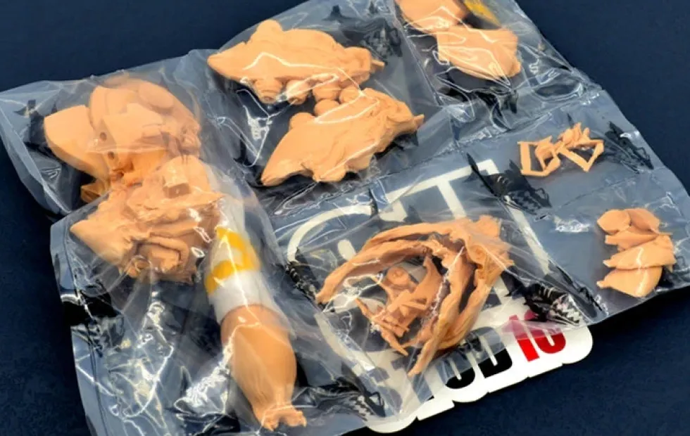 10th Anniversary Sazabi Sculpture GK